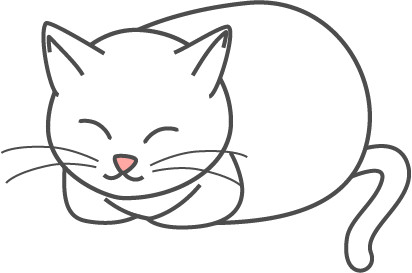 香箱座りの猫