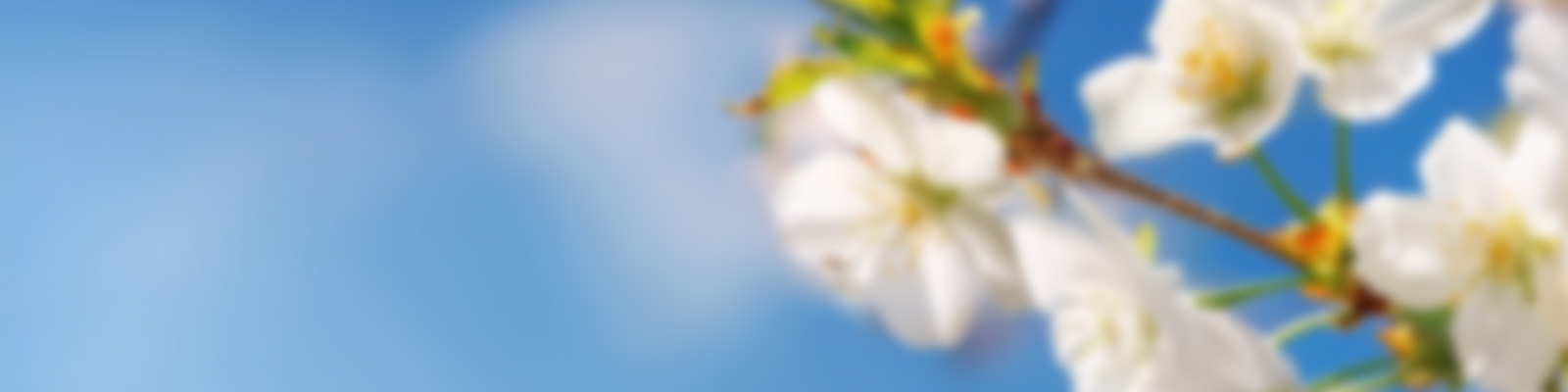 受講生の皆さんへイメージ画像_01