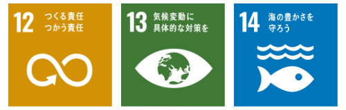 icon_12_13_14