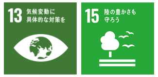 13と15のアイコン